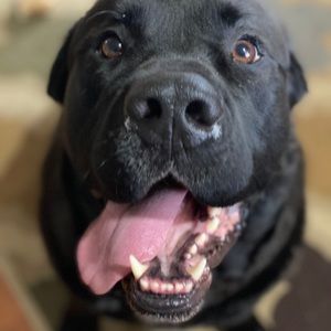 Meet your Posher, Amber